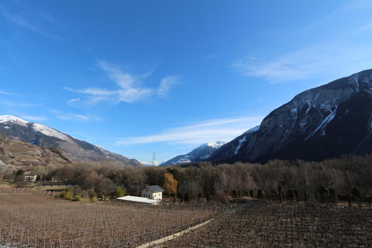 Bnb Vino Veritas Salgesch Kültér fotó
