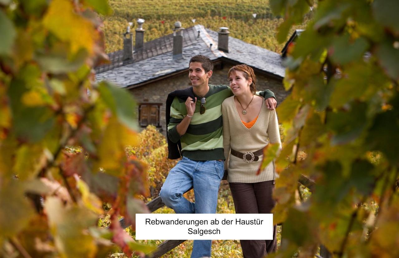 Bnb Vino Veritas Salgesch Kültér fotó